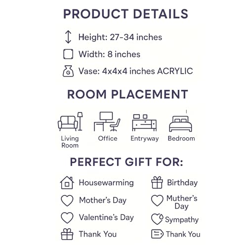 Live Phalaenopsis Orchid Plant - Premium Single Stem with Crystal Accent - Easy Care Indoor Houseplant -Birthday Gift