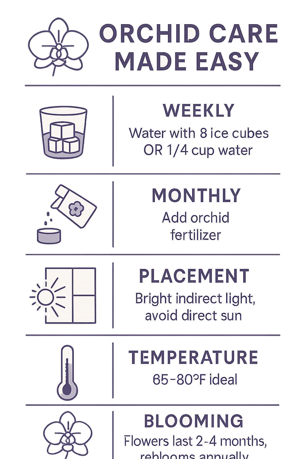 Live Double Stem Phalaenopsis Orchid Plant - Premium Indoor Flowering Plant with Crystal Accents, Easy Care Houseplant for Home Office Decor