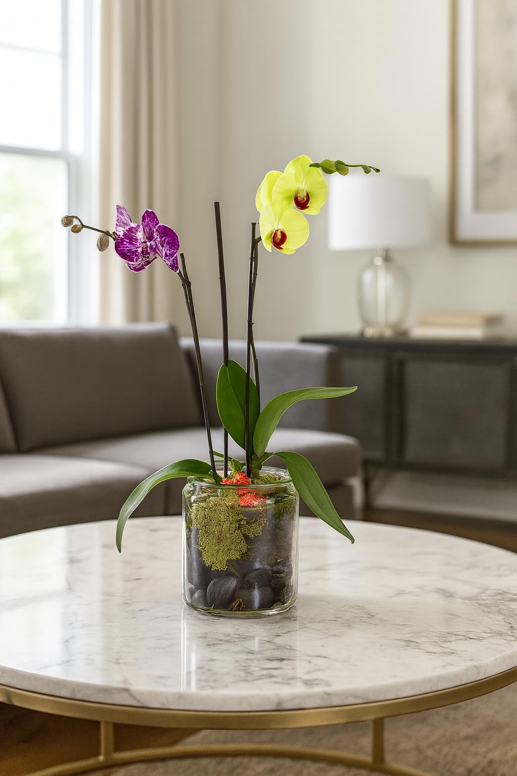 Live Double Orchid Arrangement – Purple & Yellow Phalaenopsis in Round Glass Vase with Decorative Moss & Stones