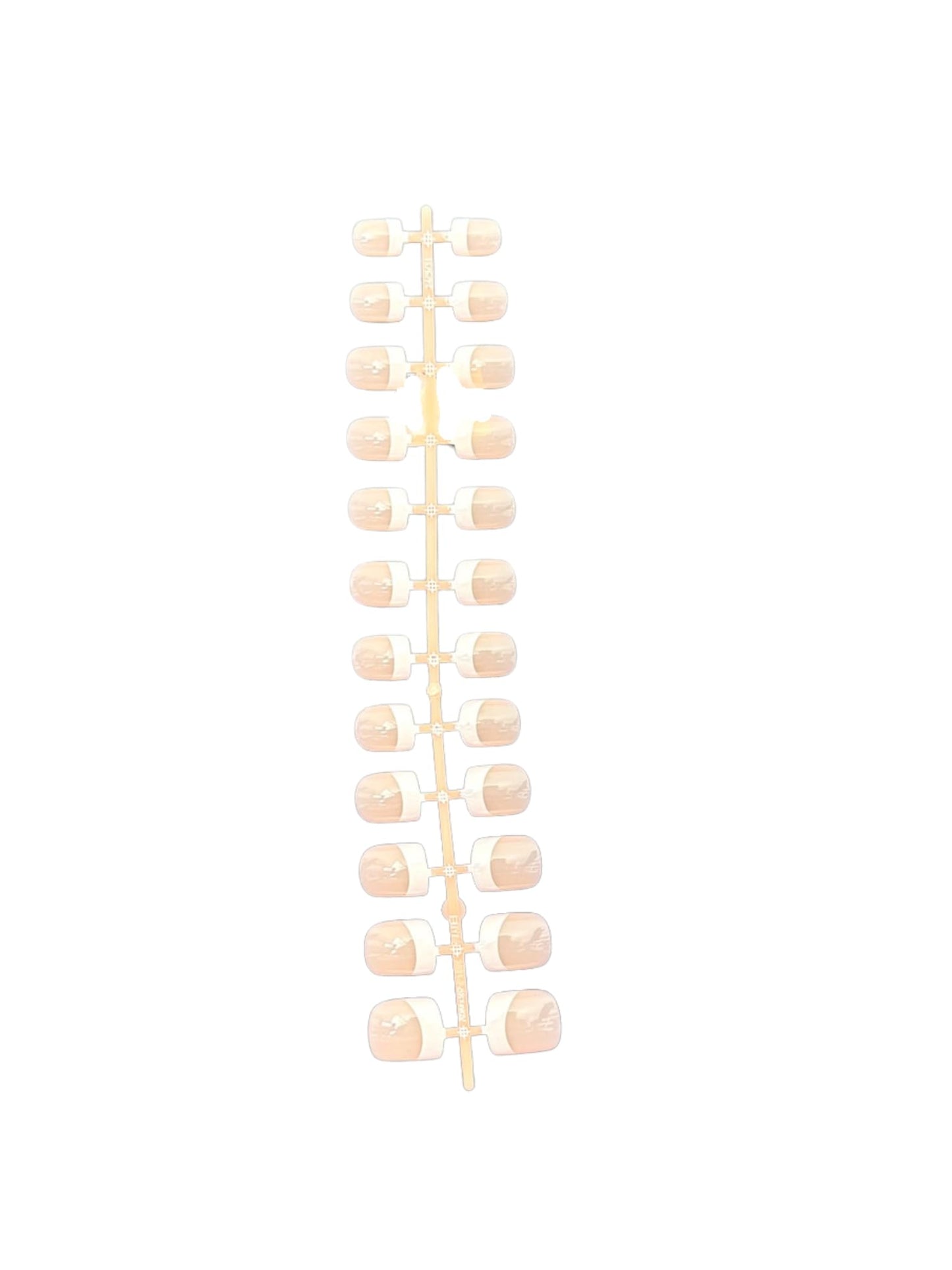 Classic French Short Ballet Press-On Nails – Reusable Kit